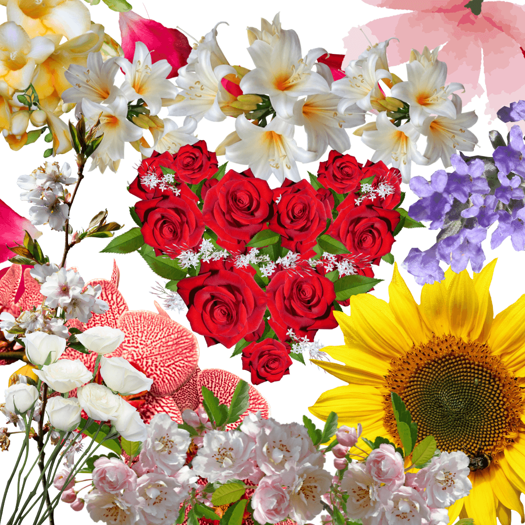 Bunga untuk Acara Istimewa Menampilkan Bunga Terbaik untuk Ulang Tahun & Jubileum