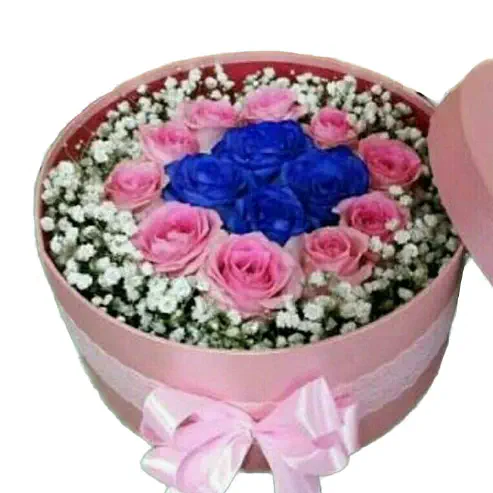 bunga box 5